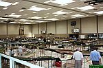 IMG_9259.jpg IMG_9259.jpg