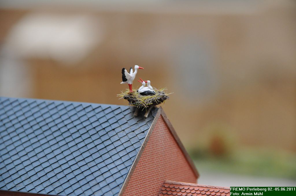DSC_0581a.JPG