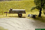 DSC_0069.JPG DSC_0069.JPG