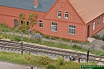 DSC_0589a.JPG DSC_0589a.JPG