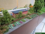IMG_5357.jpg