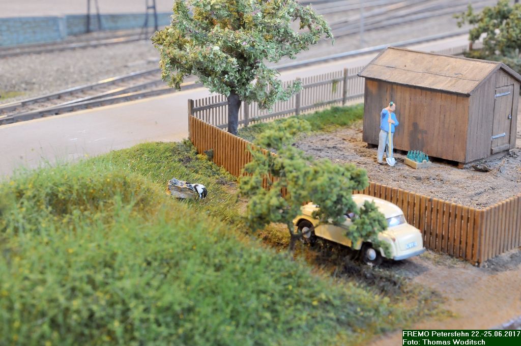 DSC_3976.jpg