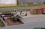DSC_4770.jpg