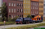 DSC_4772.jpg