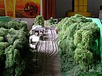 DSCN0012.JPG DSCN0012.JPG