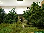 DSCN0024.JPG DSCN0024.JPG