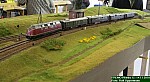 IMG_1354a.jpg