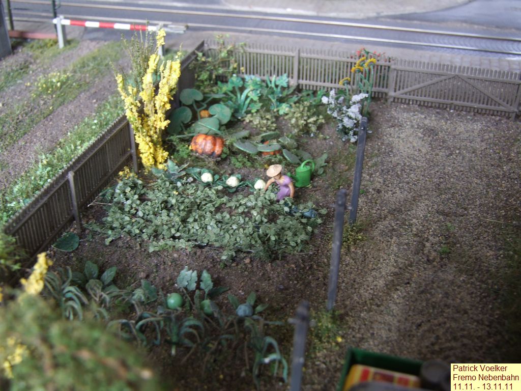 DSCF4210.JPG