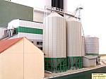 DSCF4203.JPG DSCF4203.JPG