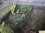 DSCF4210.JPG DSCF4210.JPG