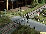 DSCF4215.JPG DSCF4215.JPG