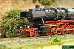 DSC_1051.JPG