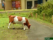 DSCN0180.JPG DSCN0180.JPG