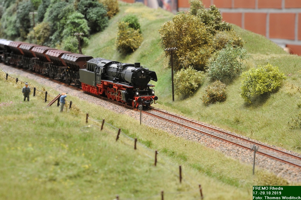 DSC_7646.jpg