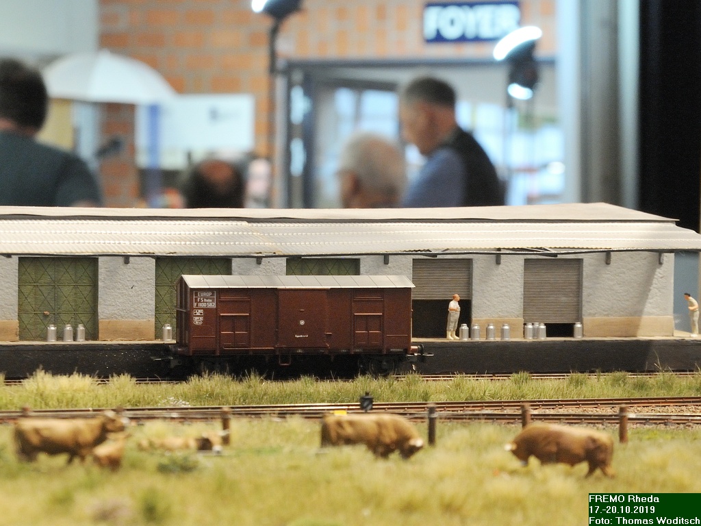 DSC_7673.jpg