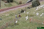 DSC_7656.jpg