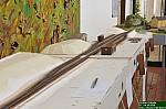 DSC_7661.jpg