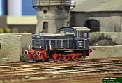 DSC_8539.jpg