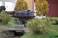 DSC_0515.jpg