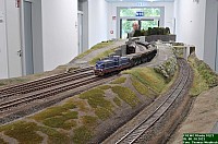 DSC_0520.jpg