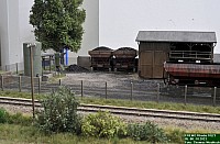 DSC_0554.jpg