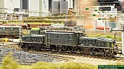 DSC_2693.jpg