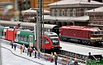 DSC_0727.JPG