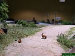 DSCN5425.JPG