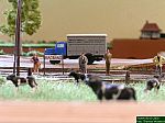 DSCN5429.JPG