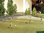 DSCN5446.JPG