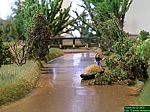 DSCN5466.JPG