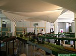 DSCN1403.JPG DSCN1403.JPG