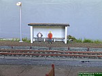 DSCN1414.JPG DSCN1414.JPG