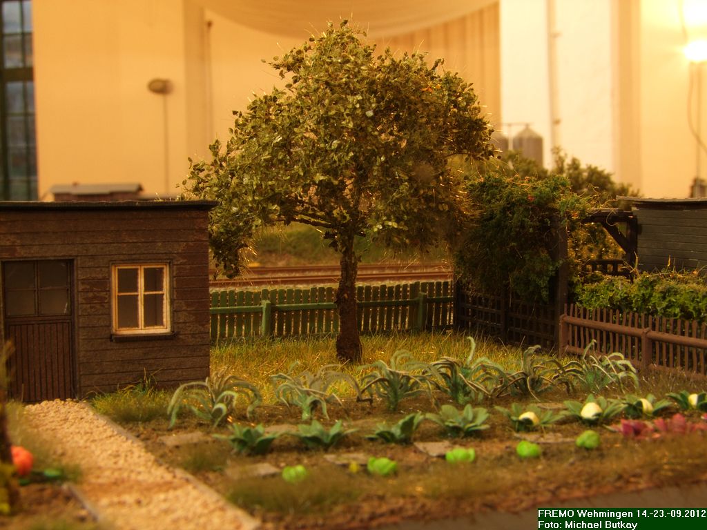 DSCF4133.jpg