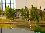 DSCF3920.jpg