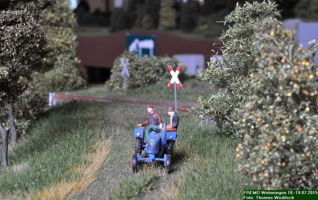 DSC_0371.jpg