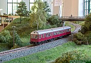 Wehm_2015-2265.jpg Wehm_2015-2265.jpg