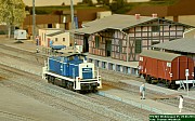 DSC_2659.jpg