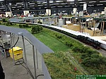 IMG_1184.JPG