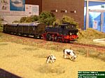 DSCF0079.JPG DSCF0079.JPG