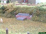 DSCF0008.JPG DSCF0008.JPG
