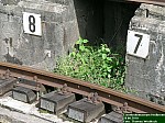 DSCN0778.JPG