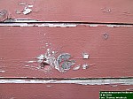 DSCN0785.JPG