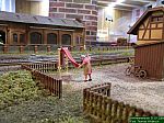 DSCN4444.jpg
