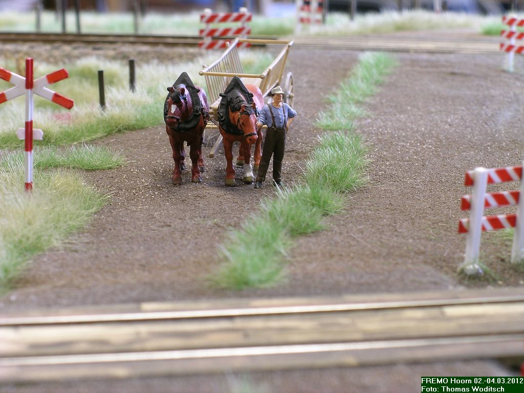 DSCN2228.JPG