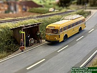 IMG_5516.JPEG
