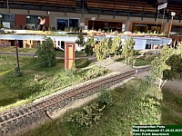 IMG_8682.JPG