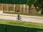 DSCN4966.JPG