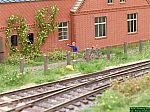 DSCN4972.JPG
