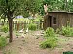 DSCN4986.JPG